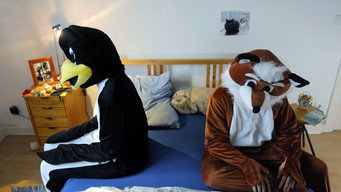 Escena 1 de Fox & Penguin