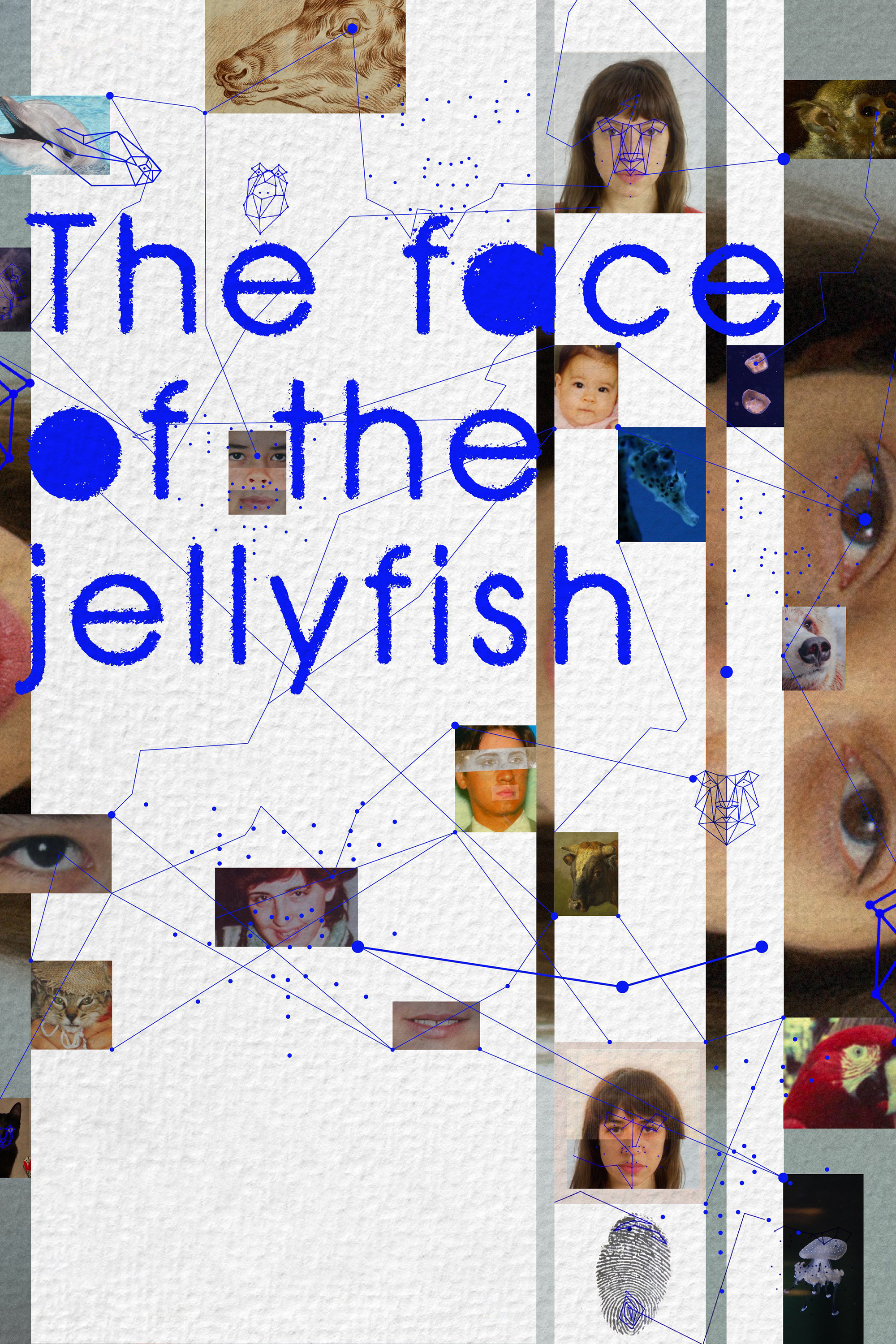 The Face of the Jellyfish (2022) poster