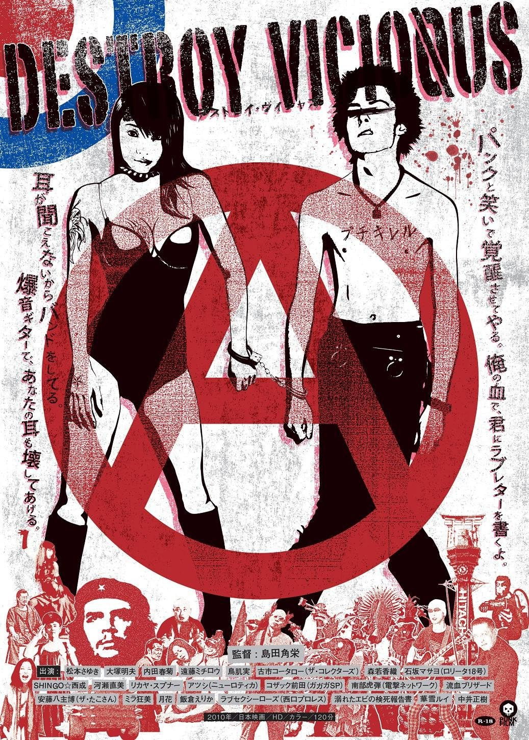 Destroy Vicious (2011) poster