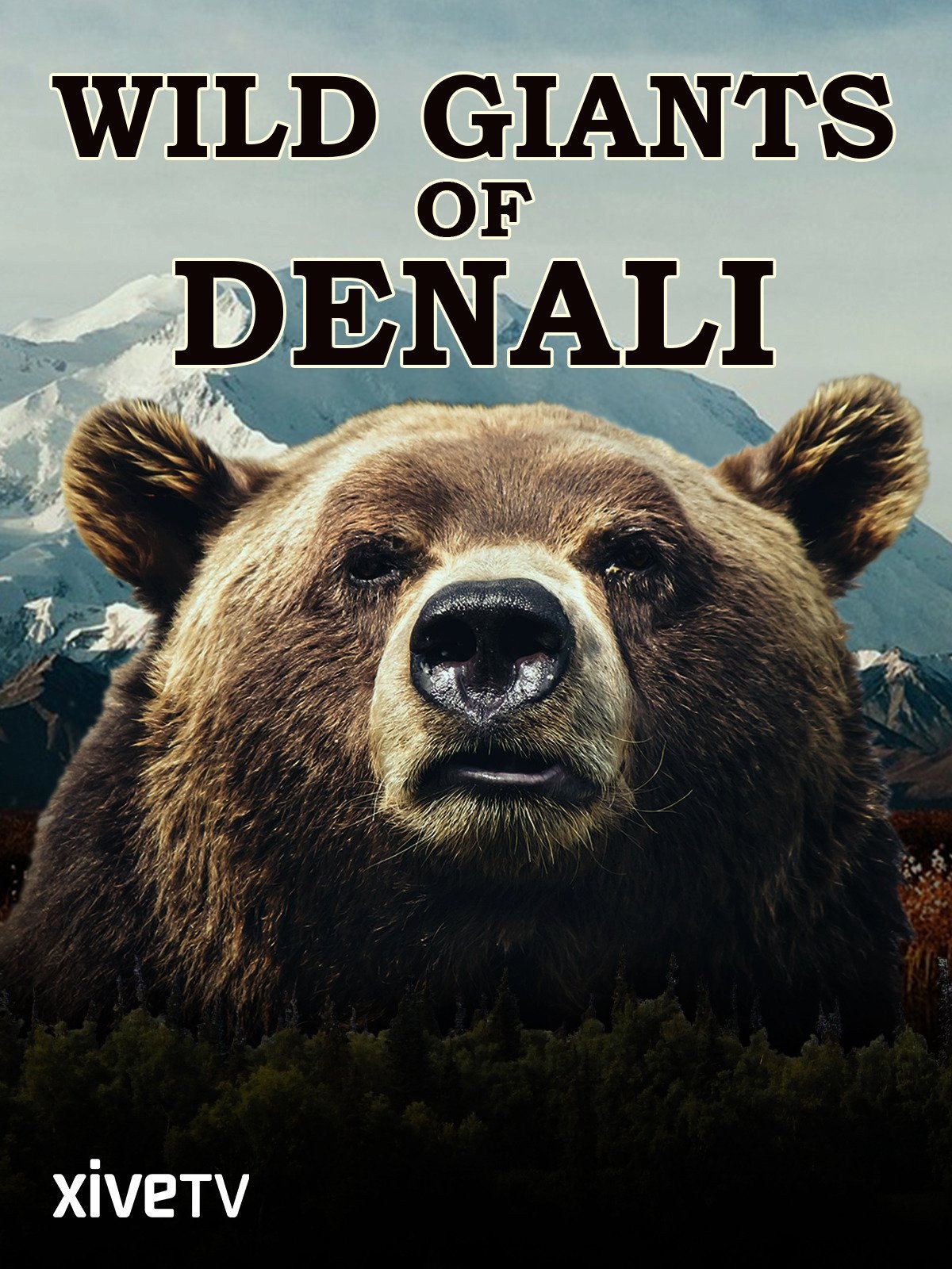 Wild Giants of Denali (2026) poster