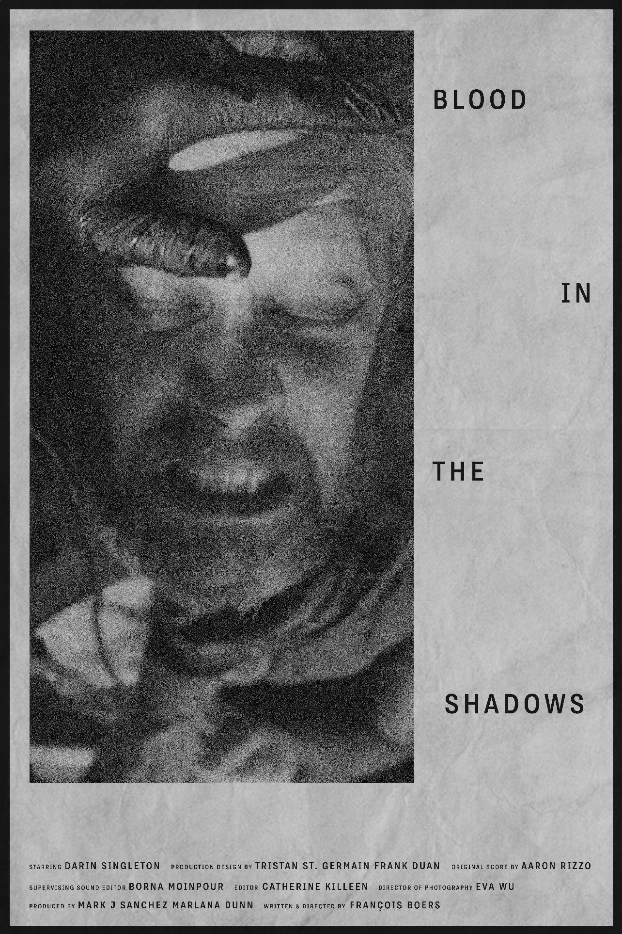 Blood in the Shadows (2025) poster