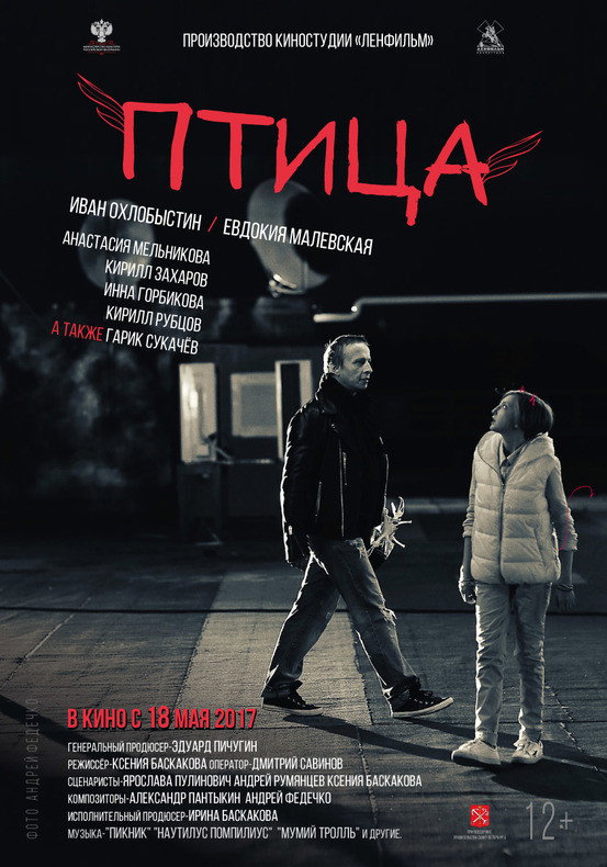 The Bird (2017) poster