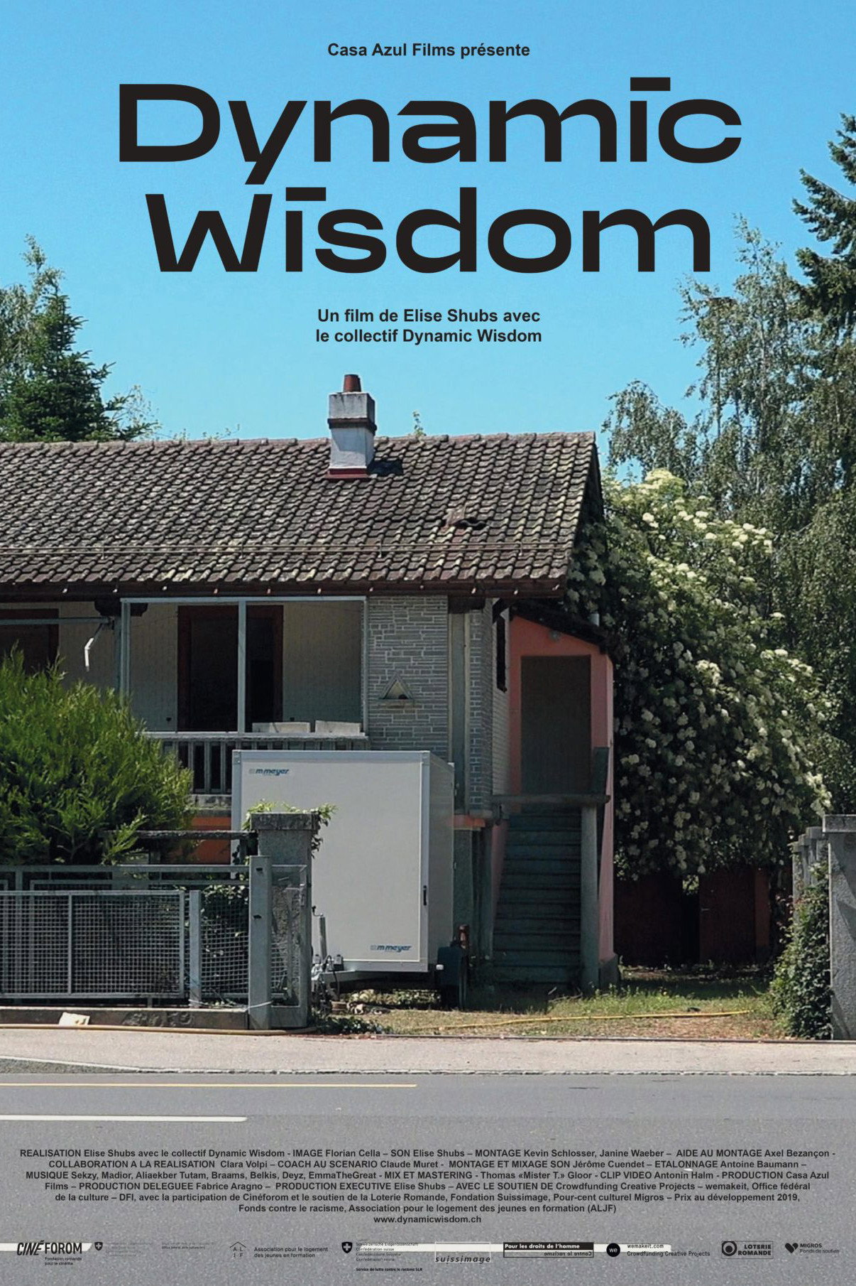 Dynamic Wisdom (2022) poster