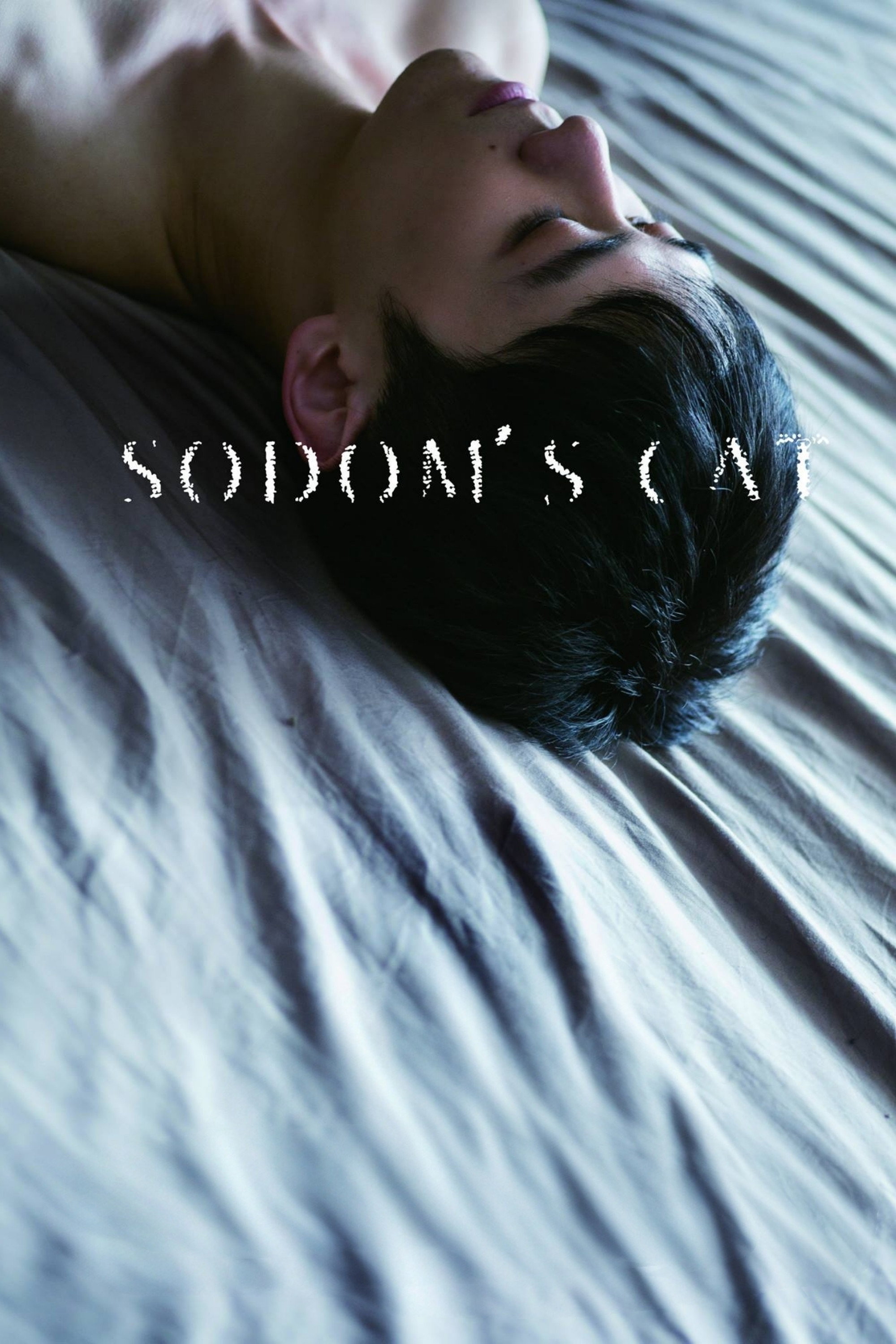 Sodom's Cat (2016) poster