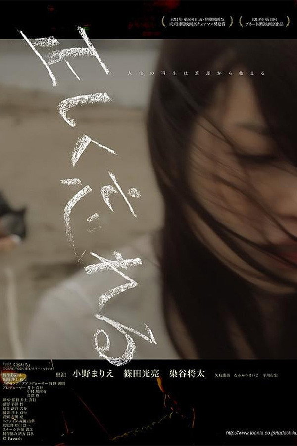 Tadashiku Wasureru (2014) poster