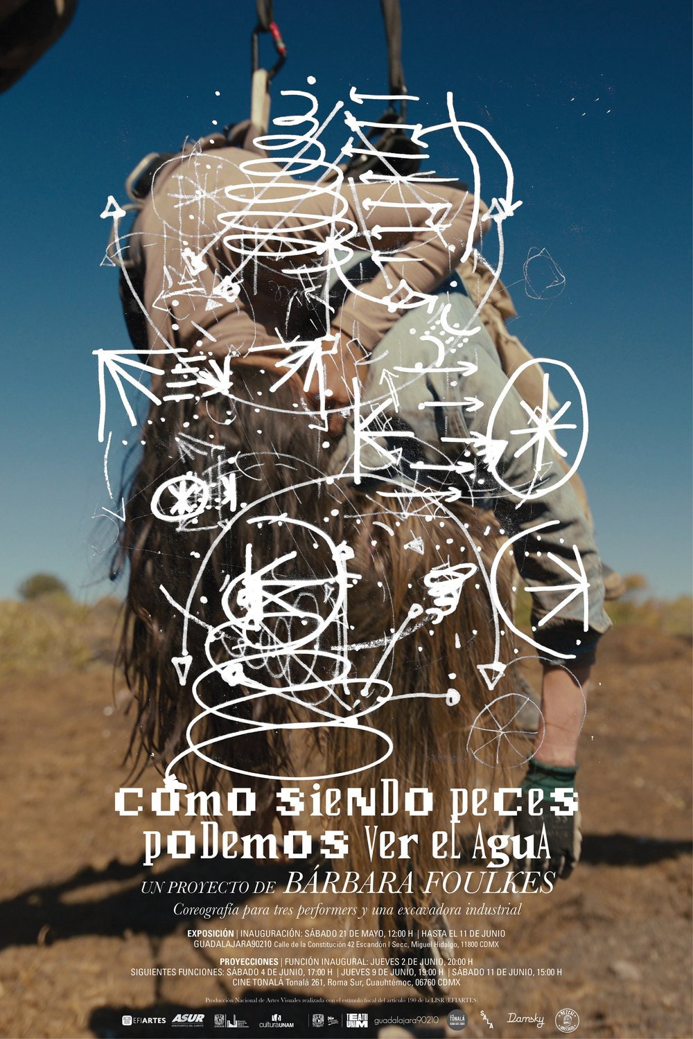 Cómo siendo peces podemos ver el agua (2023) poster