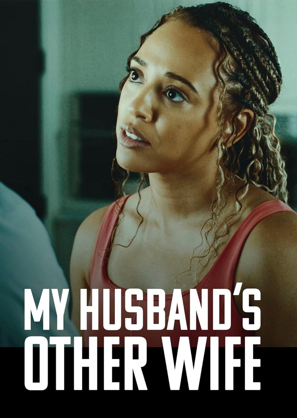 My Husband's Other Wife (2025) poster