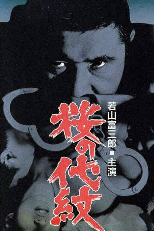 Internal Sleuth (1973) poster