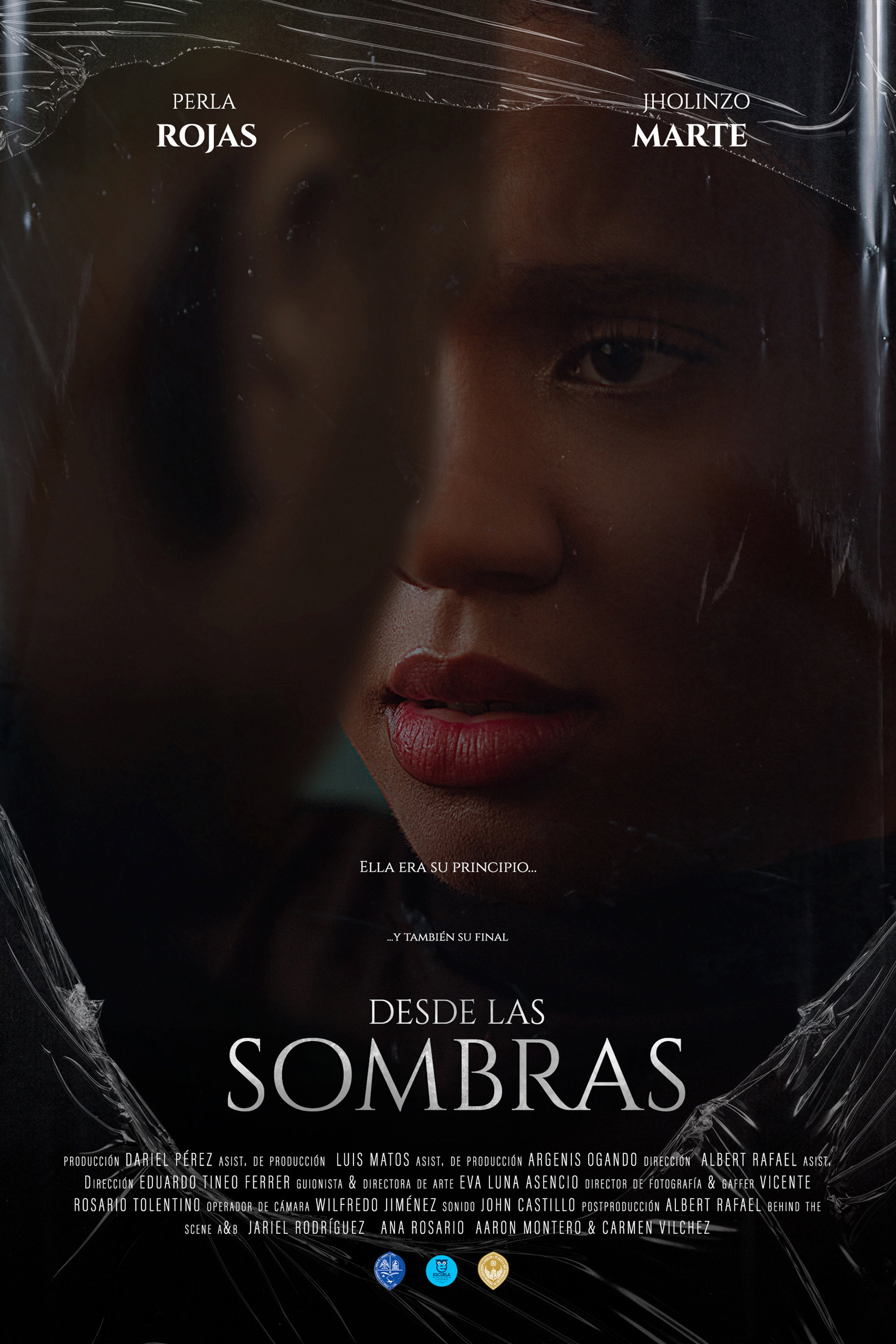 Desde las sombras (2024) poster
