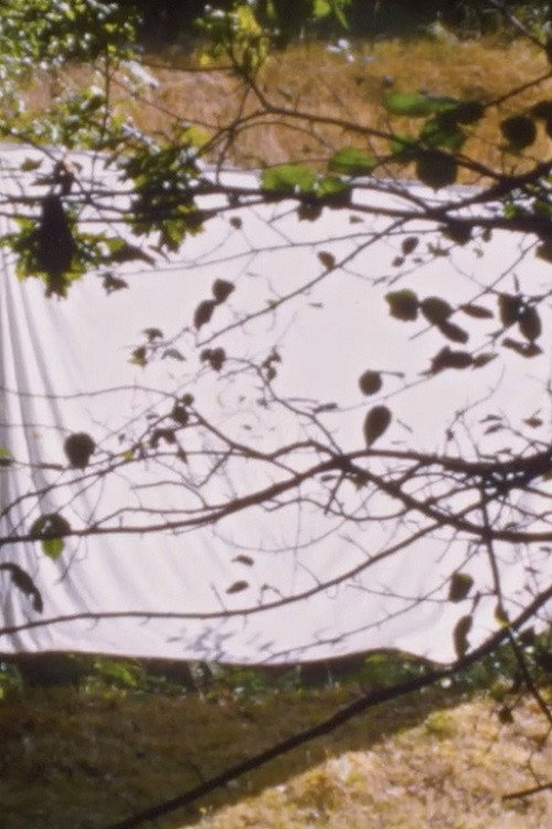 White Screen (for Amy Halpern) (2022) poster