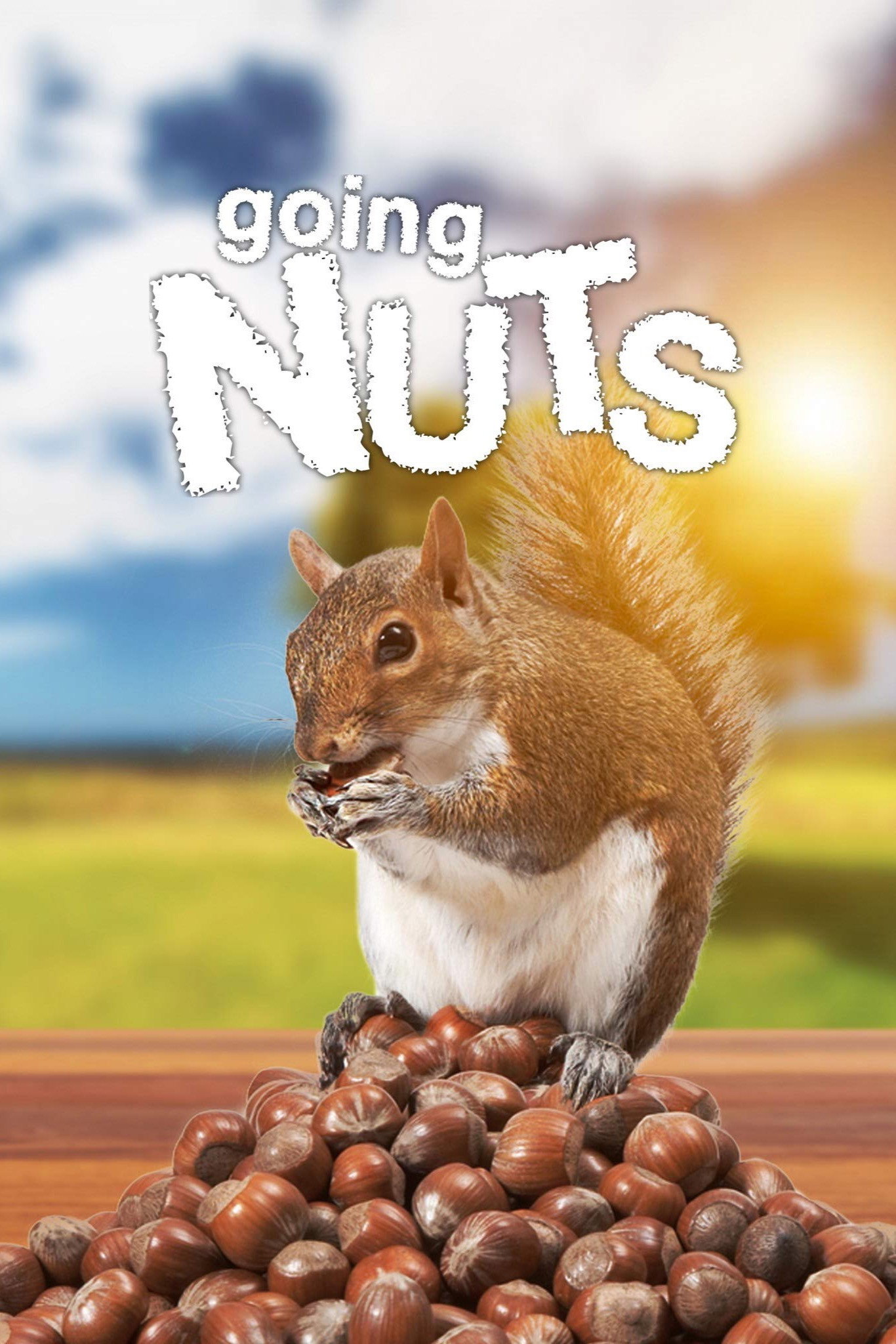 Going Nuts: Tales from the Squirrel World (2019) poster