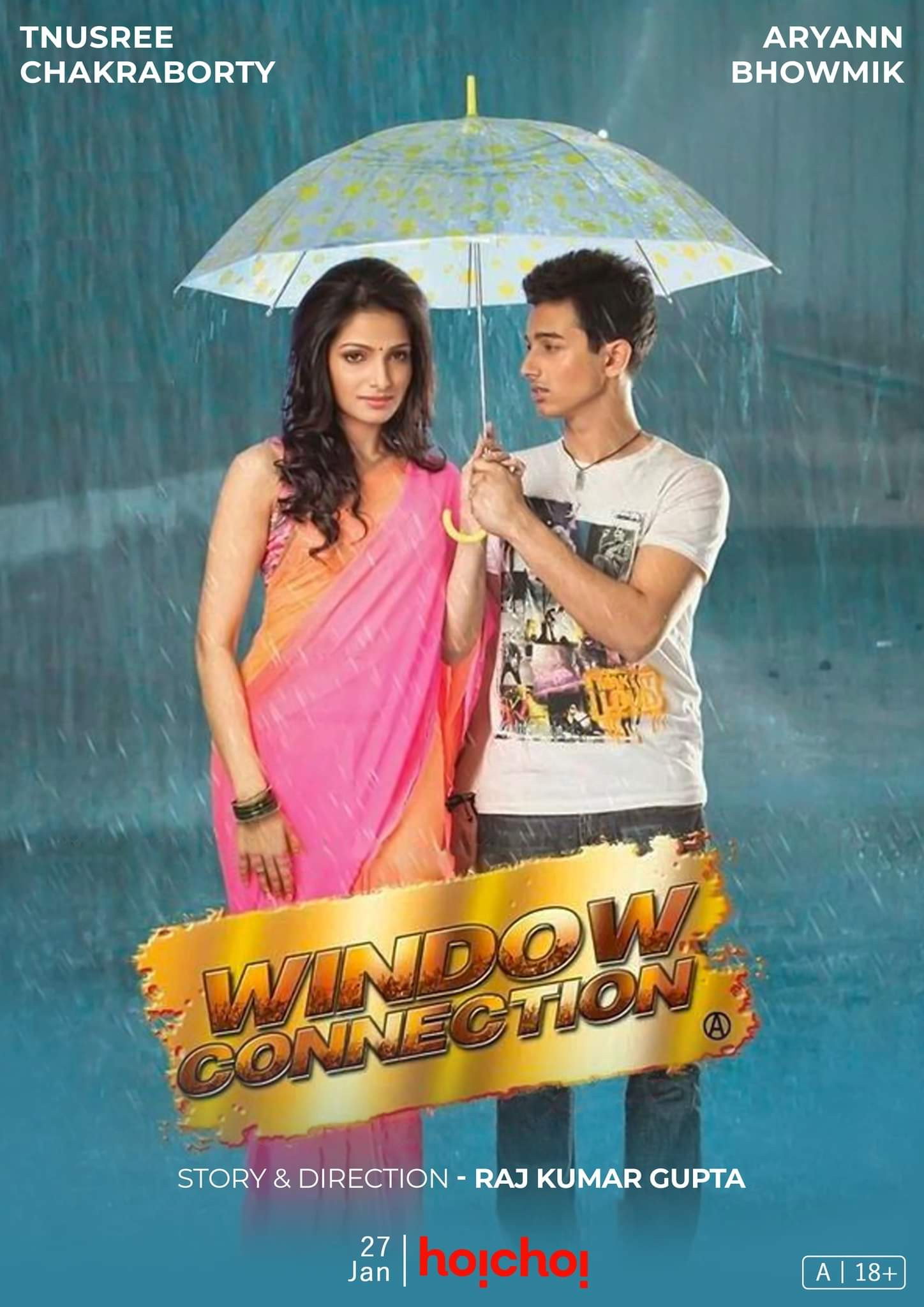 Window Connection (2014) poster