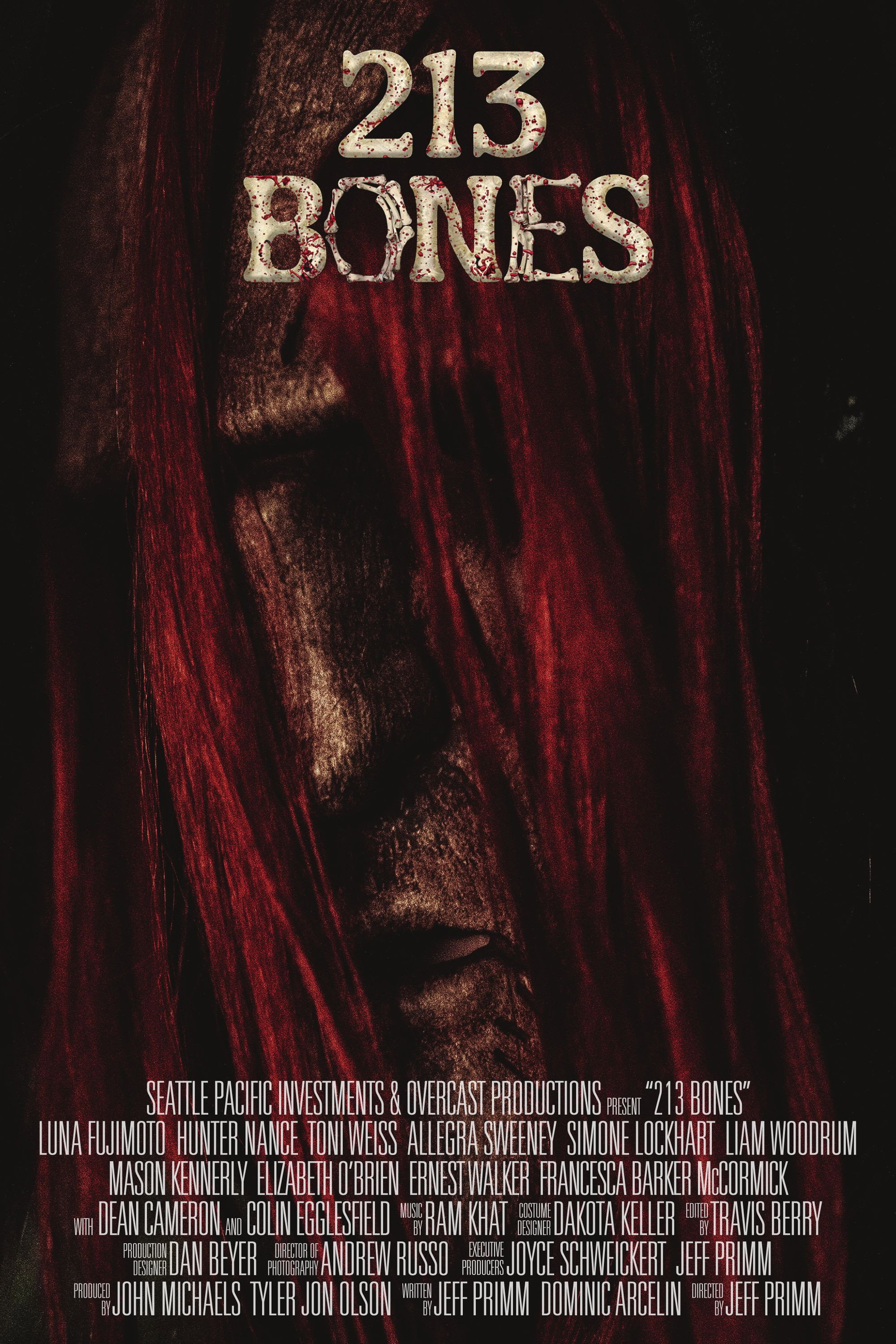 213 Bones (2025) poster