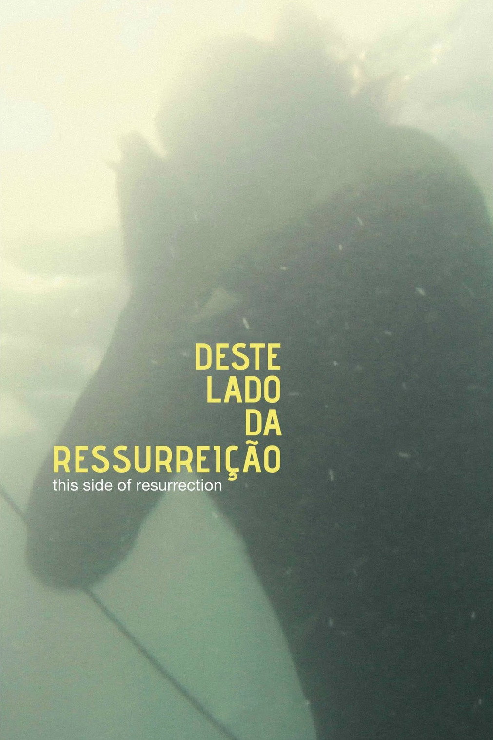 This Side of Resurrection (2011) poster