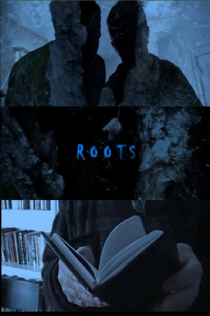 Roots (2010) poster