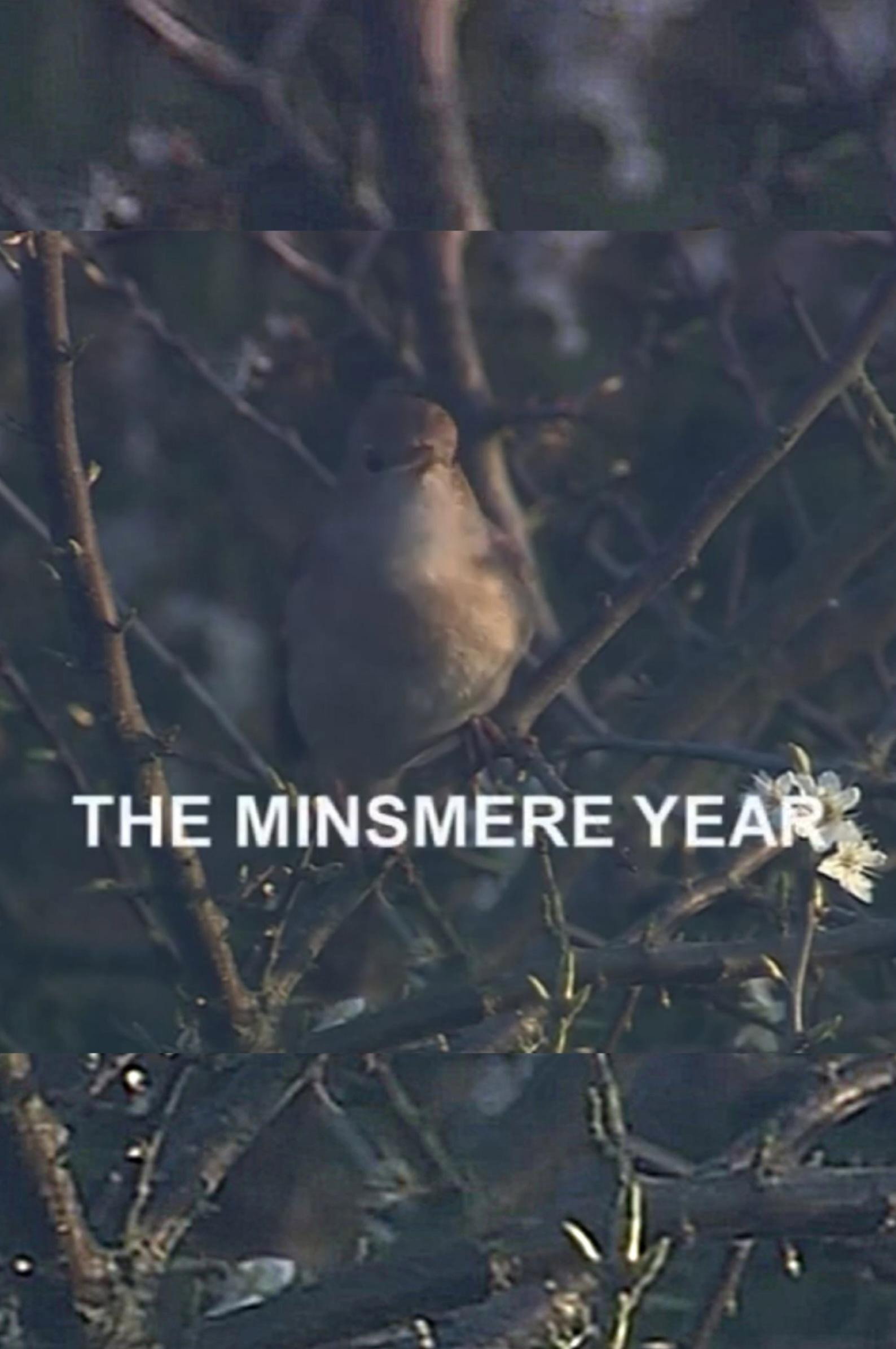 The Minsmere Year (2004) poster
