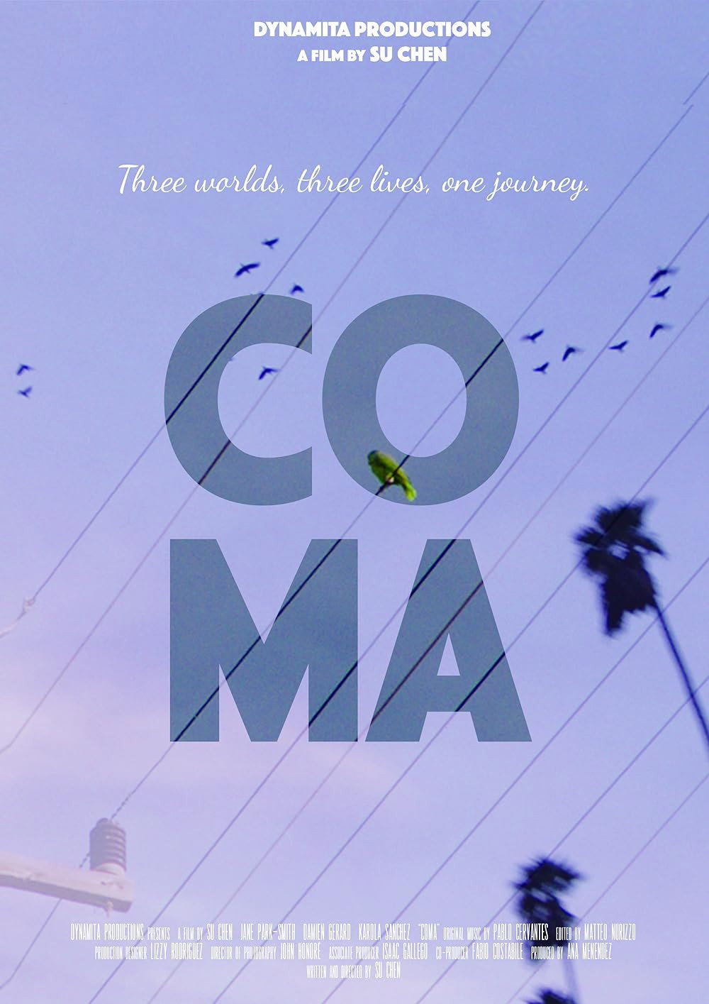 Coma (2019) poster