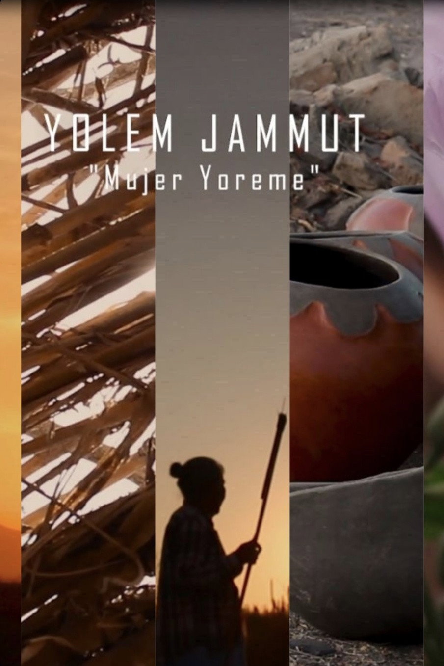 Mujer Yoreme (Curandera) (2017) poster