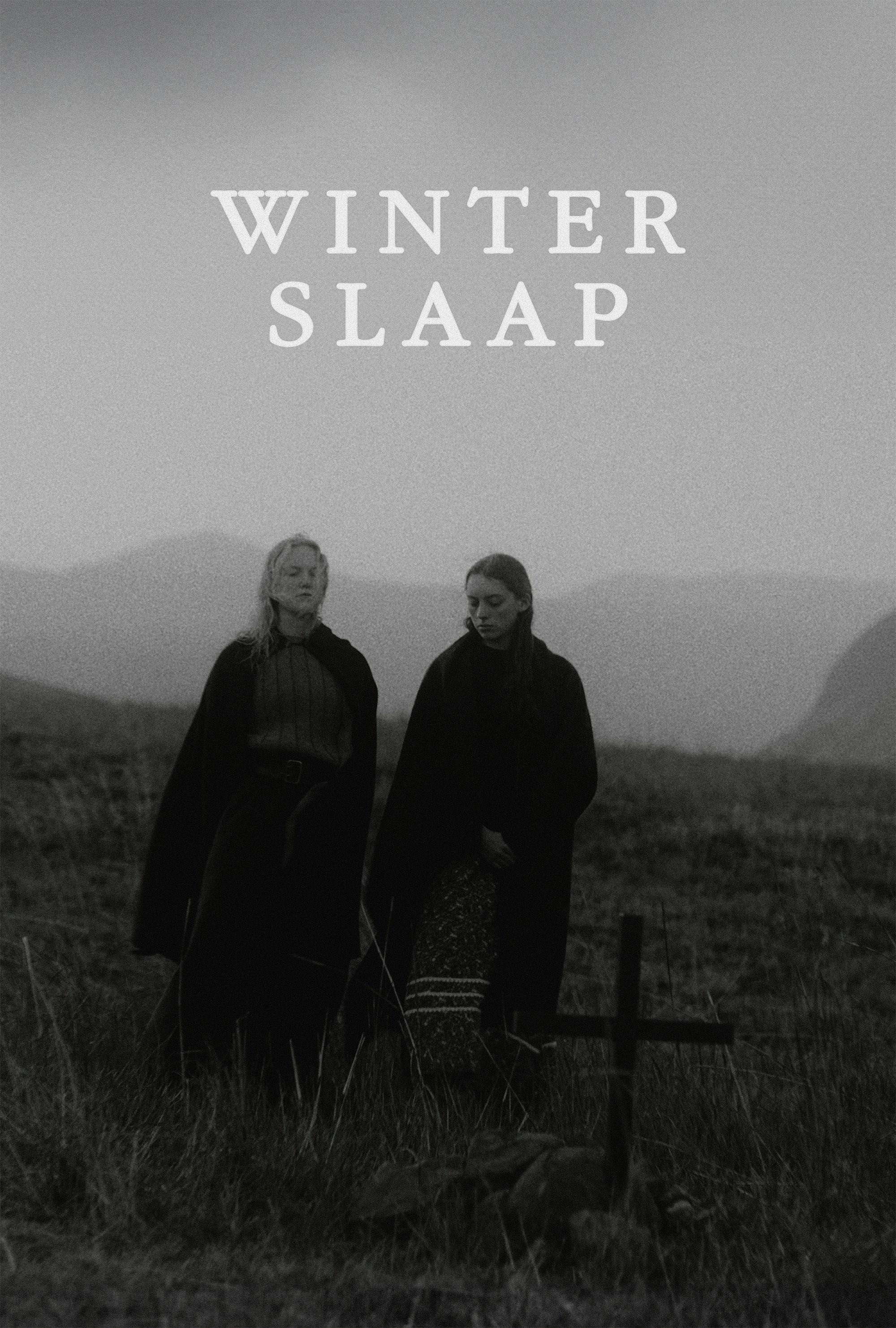 Hibernation (2023) poster
