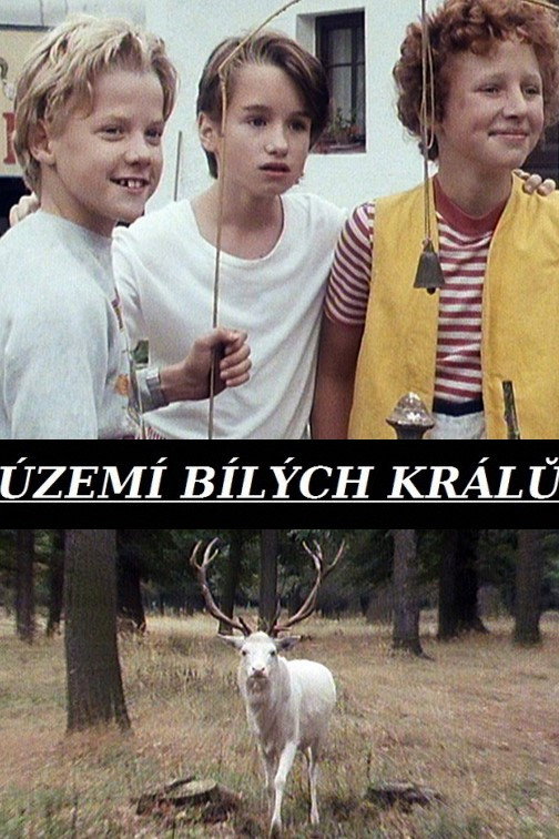 Territory of the White Kings (1991) poster