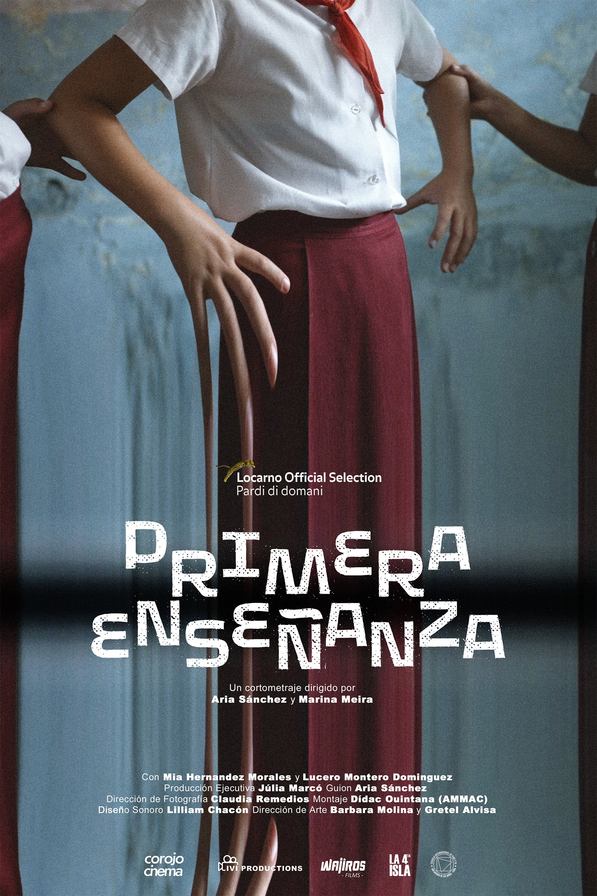 Primary Education (2025) poster