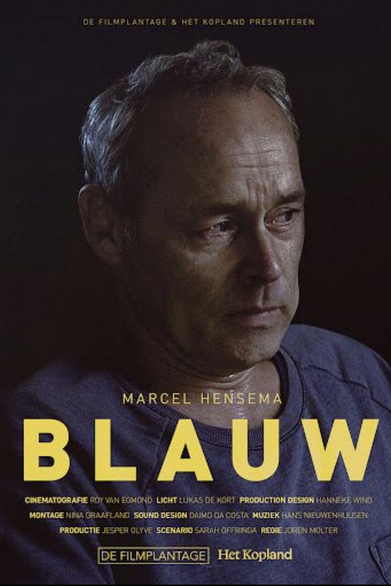 Blauw (2015) poster