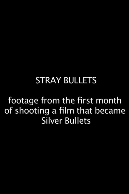 Stray Bullets (2012) poster
