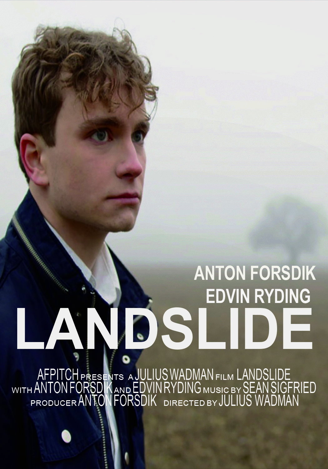 Landslide (2024) poster