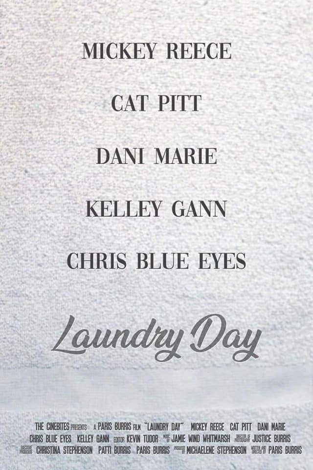 Laundry Day (2026) poster