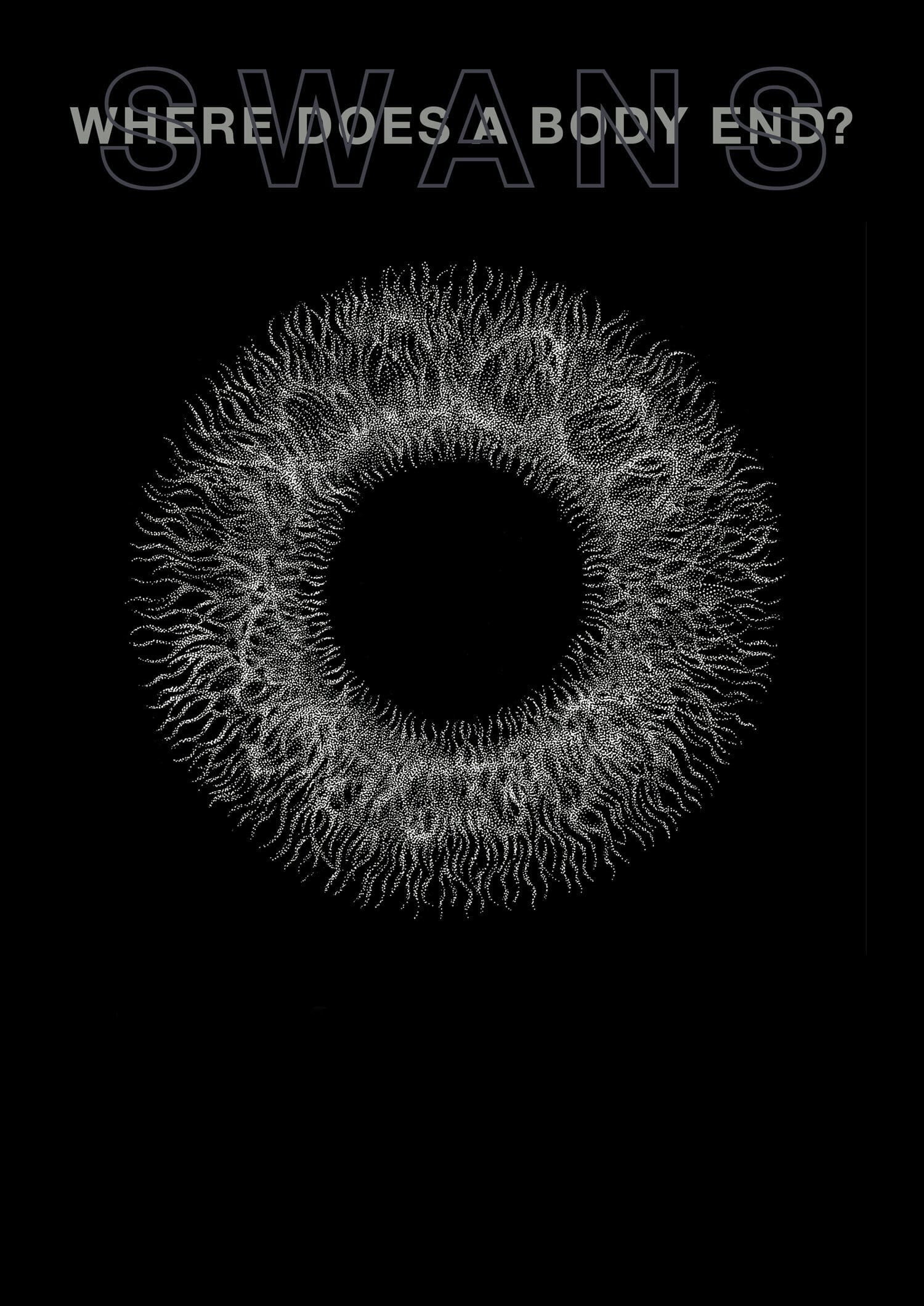 Swans: Where Does a Body End? (2019) poster