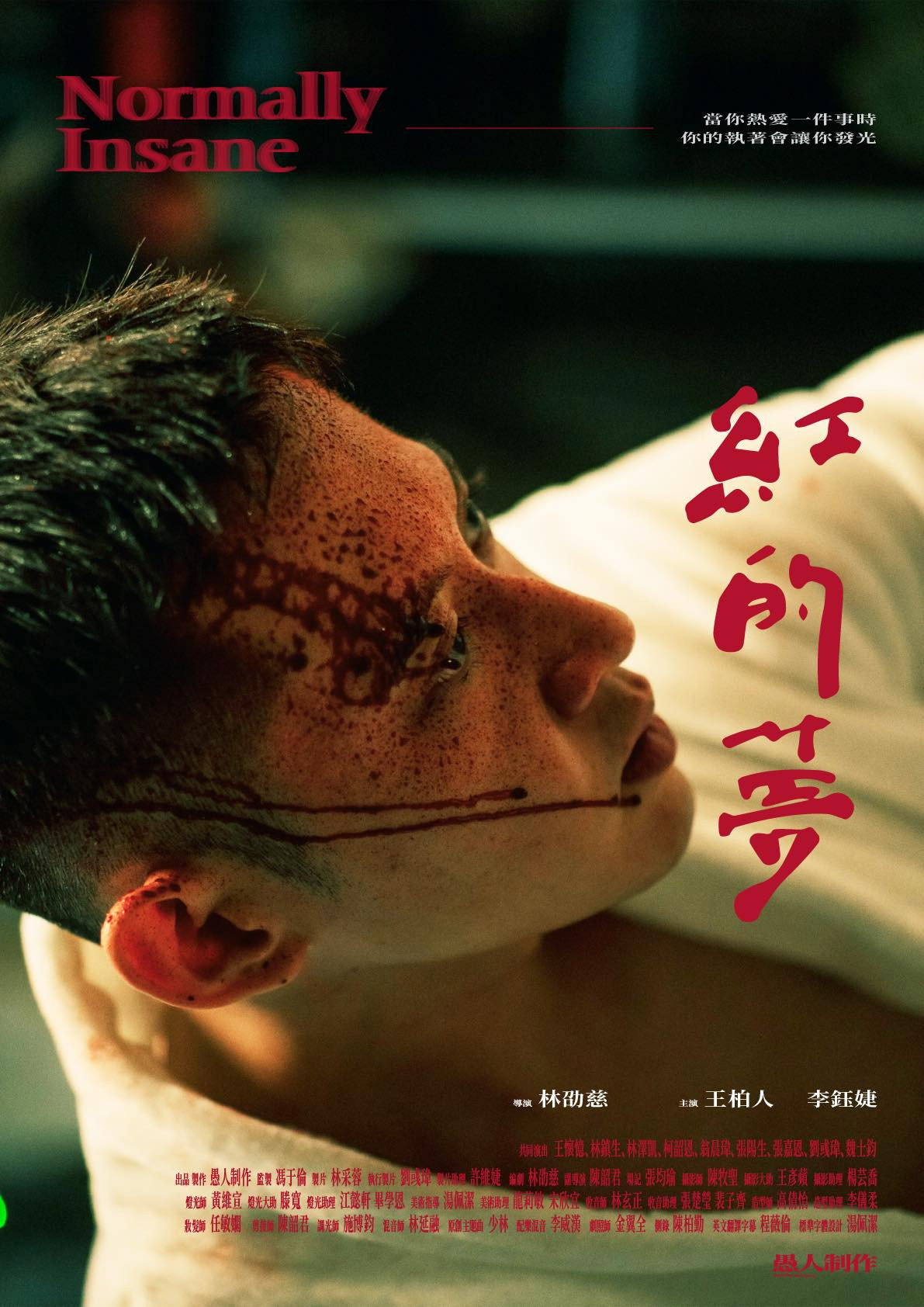 Normally Insane (2023) poster