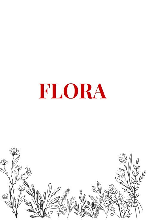 Flora (2023) poster