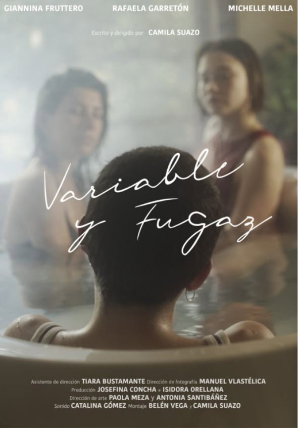 Variable and Fleeting (2020) poster