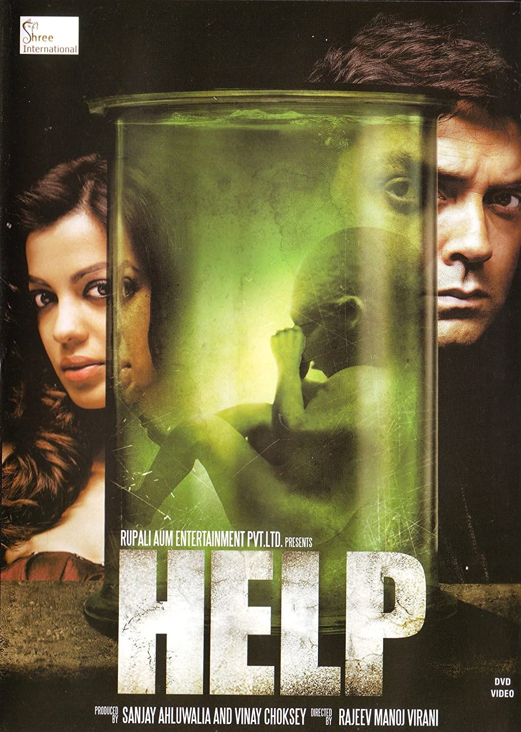 Help (2010) poster