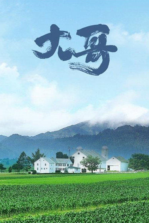 大哥 (2002) poster
