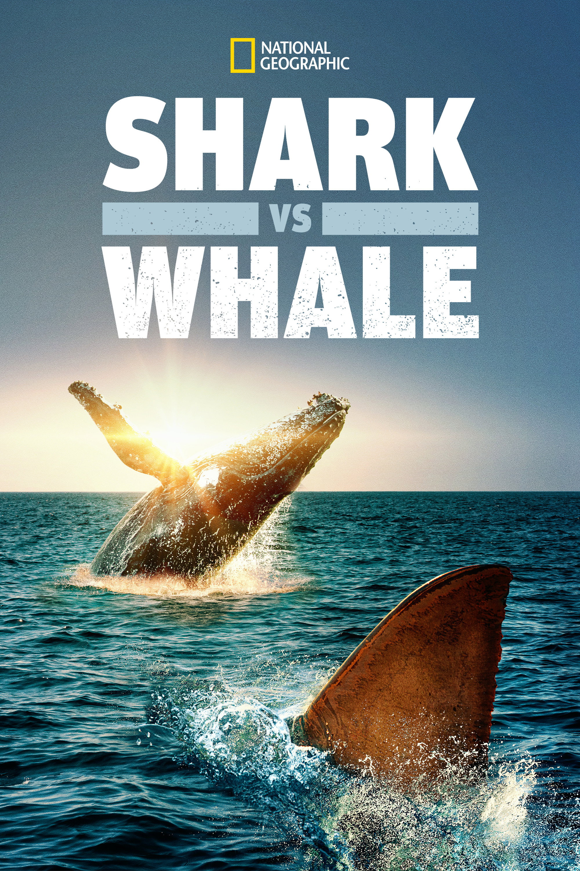 Shark Vs. Whale (2020) poster