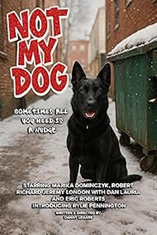 Not My Dog (2026) poster