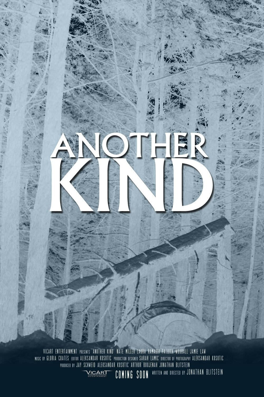 Another Kind (2013) poster
