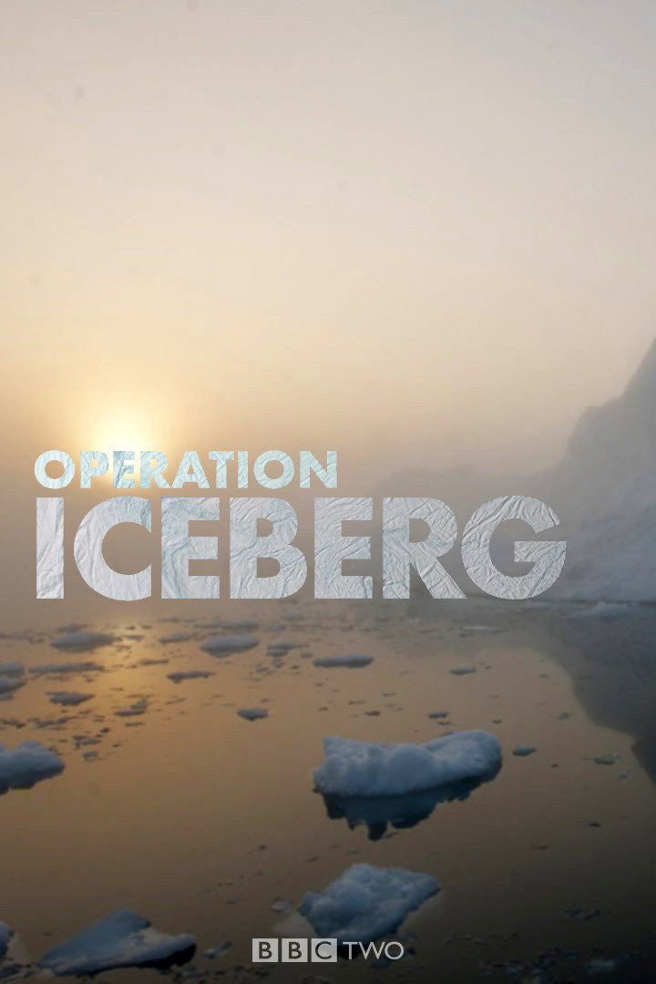Operation Iceberg (2012) poster