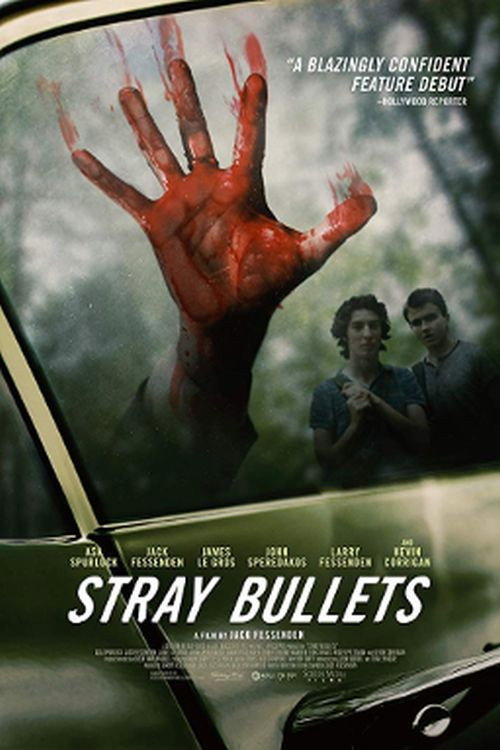 Stray Bullets (2017) poster