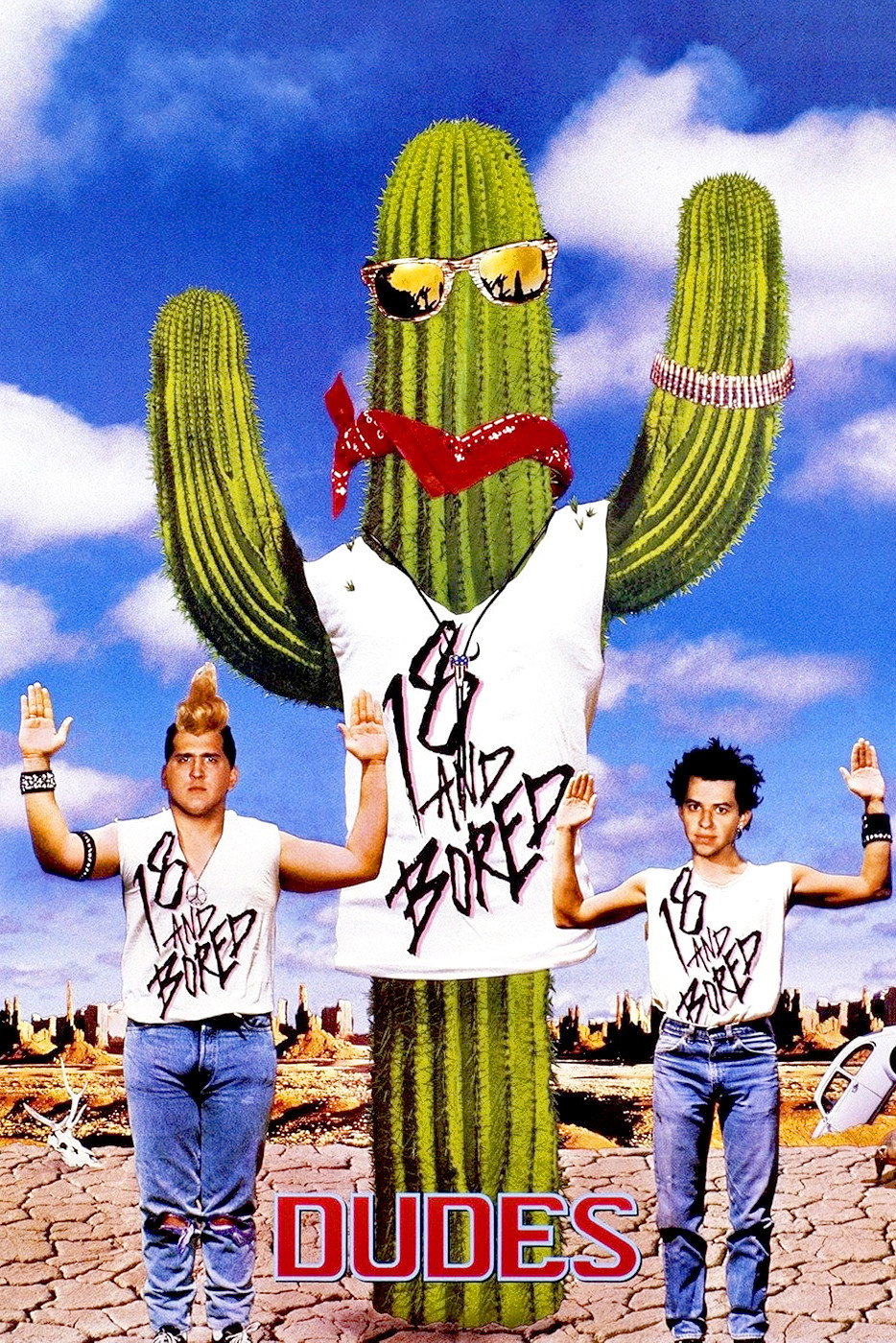 Dudes (1987) poster
