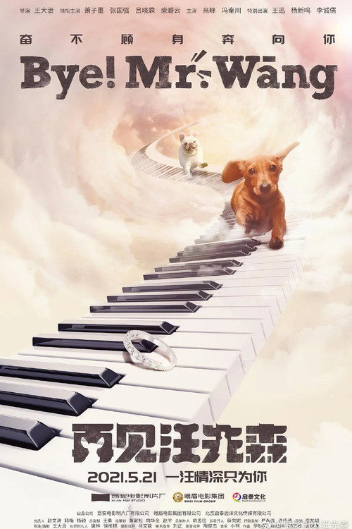 Bye, Mr Wang! (2021) poster