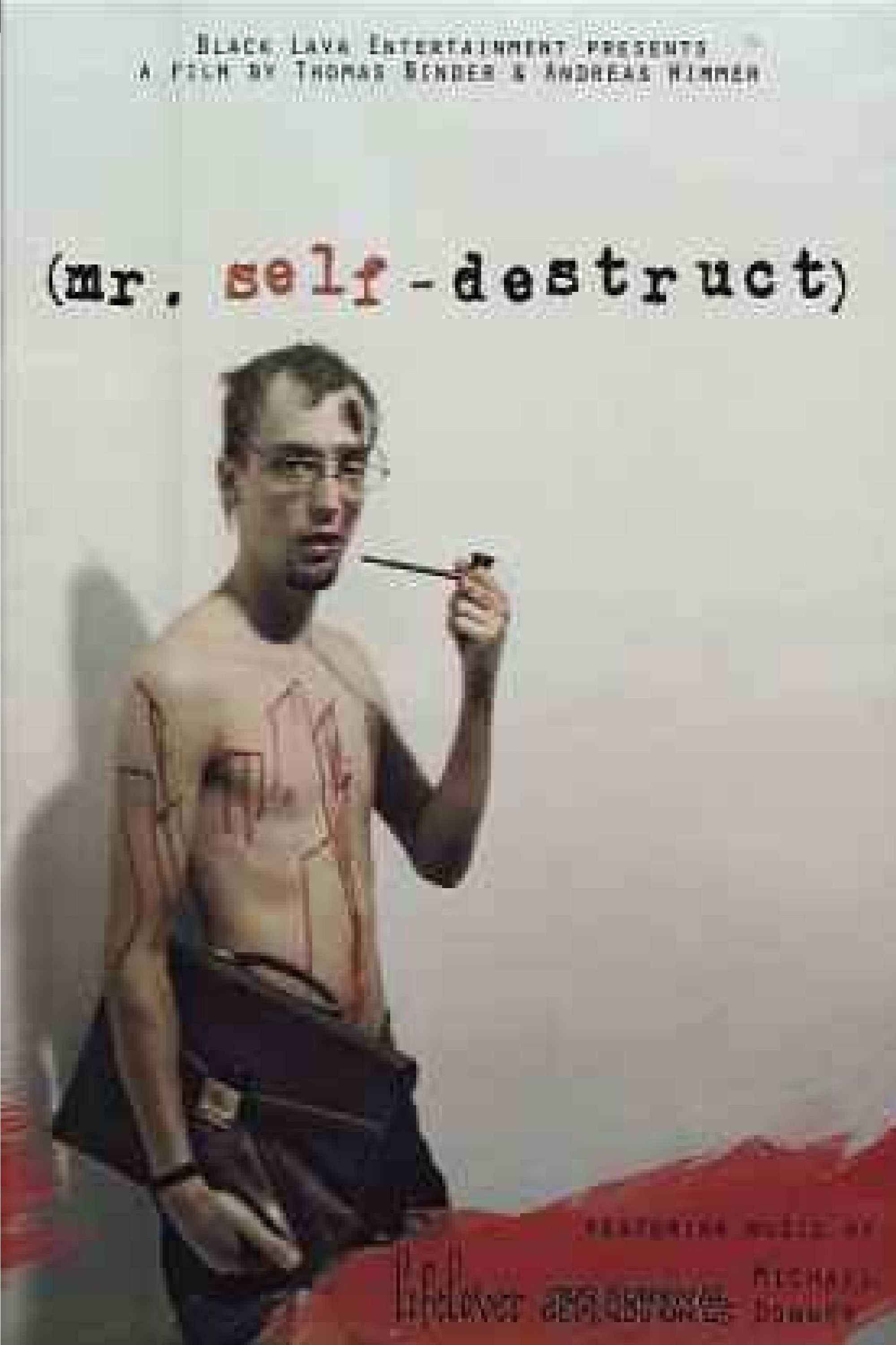 Mr. Self-Destruct (2009) poster