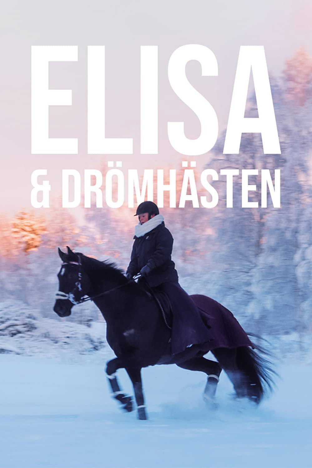 Elisa och drömhästen (2021) poster