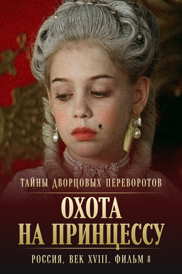 Secrets of Palace coup d'etat. Russia, 18th century. Film №8. Part 1. Hunting for a Princess (2011) poster