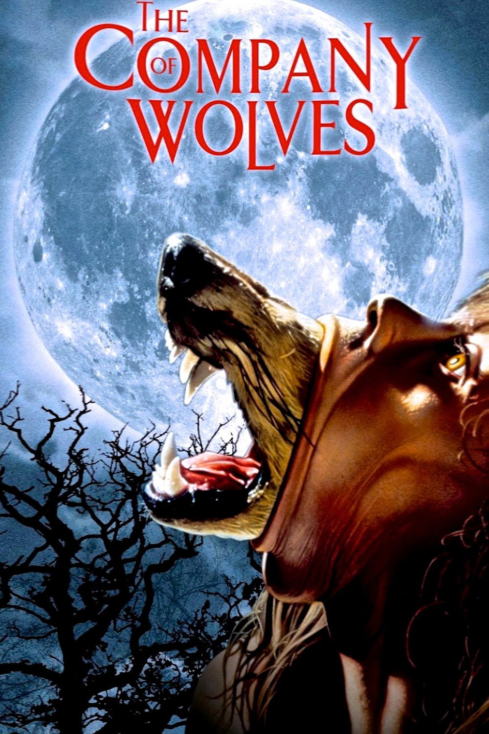The Company of Wolves (1984) poster