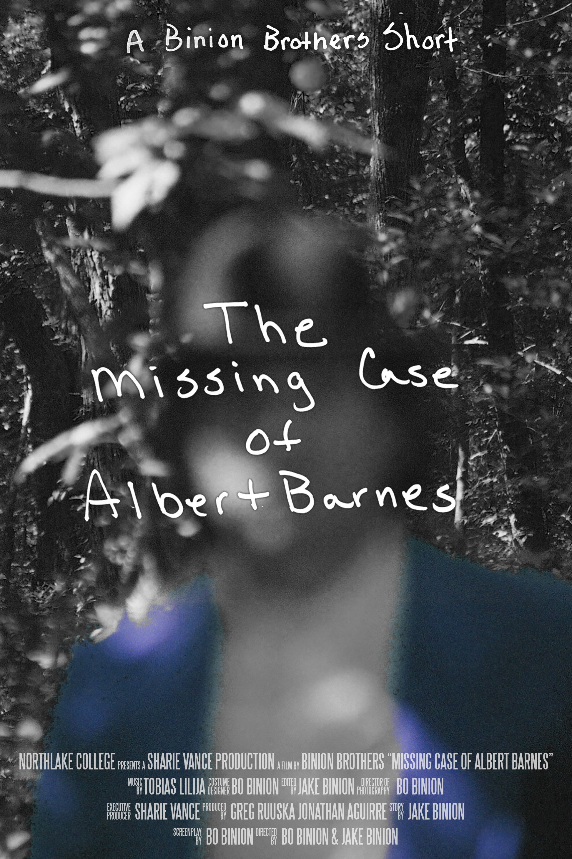 The Missing Case of Albert Barnes (2026) poster