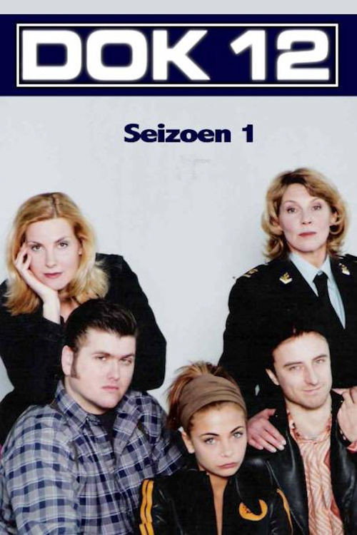 Dok 12 (2001) poster