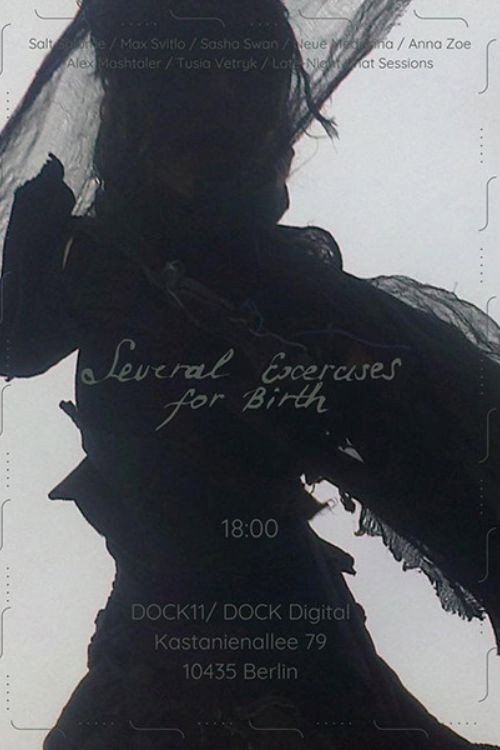 Several Exercises for Birth (2024) poster
