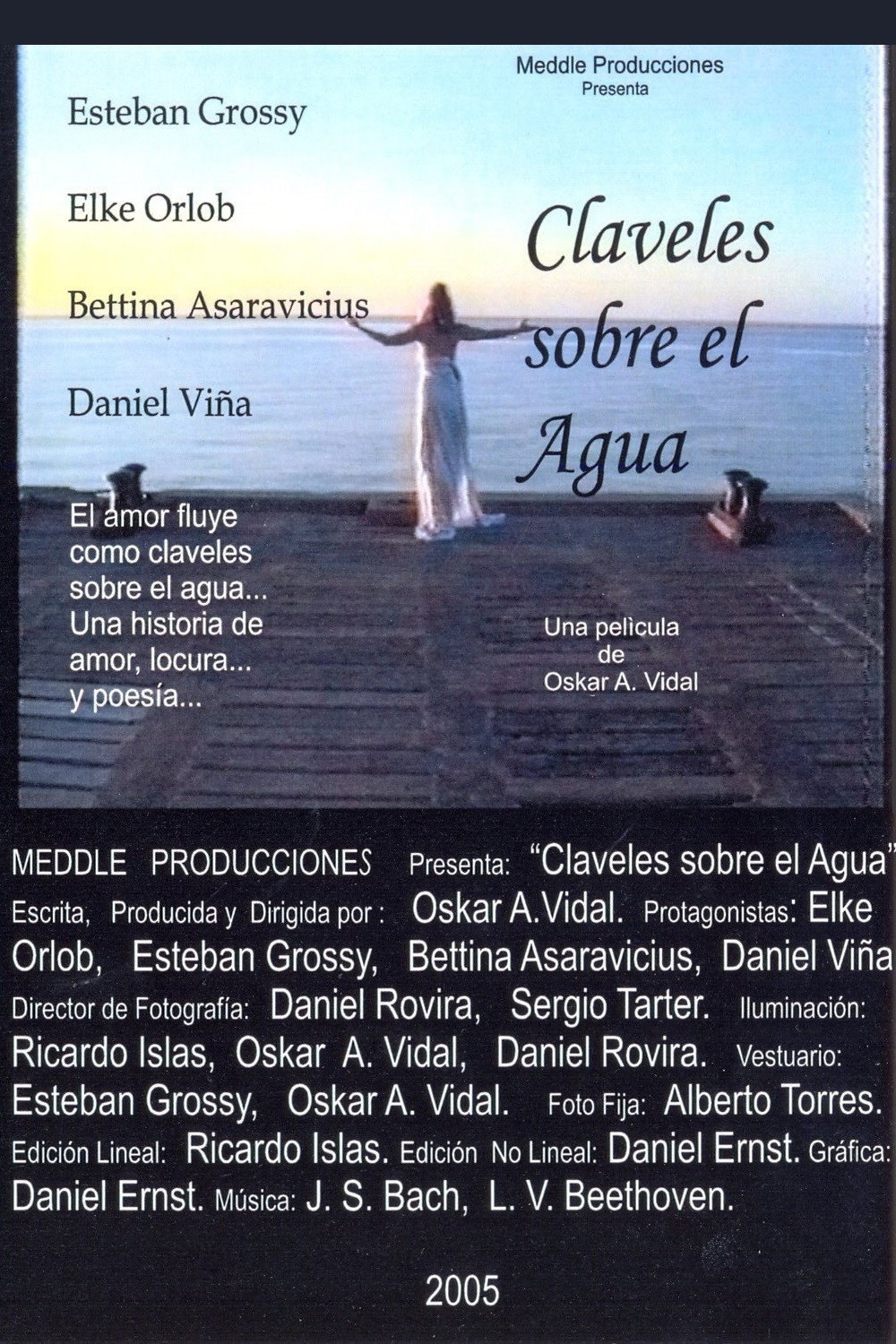 Flowers on the Water (2008) poster